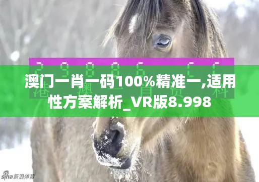 澳门一肖一码100%精准一,适用性方案解析_VR版8.998