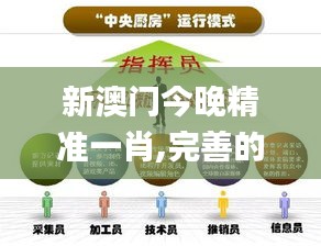 新澳门今晚精准一肖,完善的执行机制分析_顶级版8.232