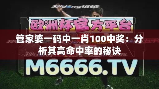 管家婆一码中一肖100中奖：分析其高命中率的秘诀