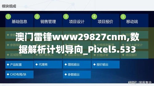 澳门雷锋www29827cnm,数据解析计划导向_Pixel5.533