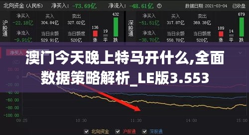 澳门今天晚上特马开什么,全面数据策略解析_LE版3.553