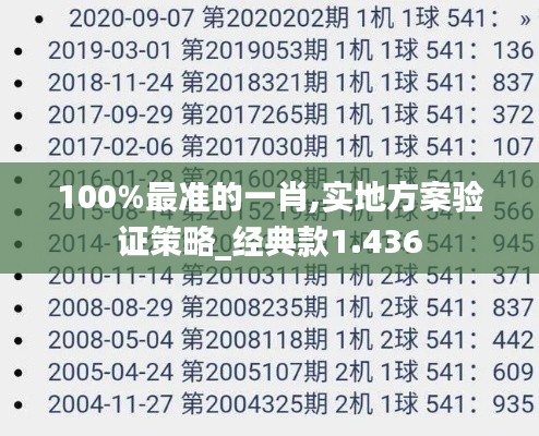 100%最准的一肖,实地方案验证策略_经典款1.436