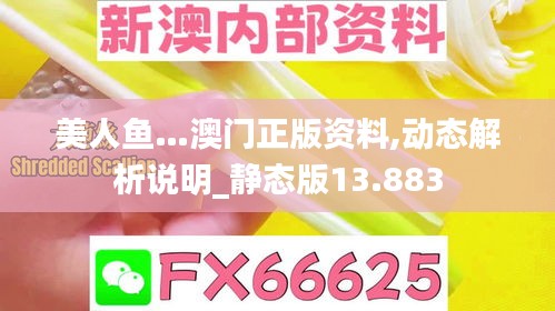 美人鱼…澳门正版资料,动态解析说明_静态版13.883