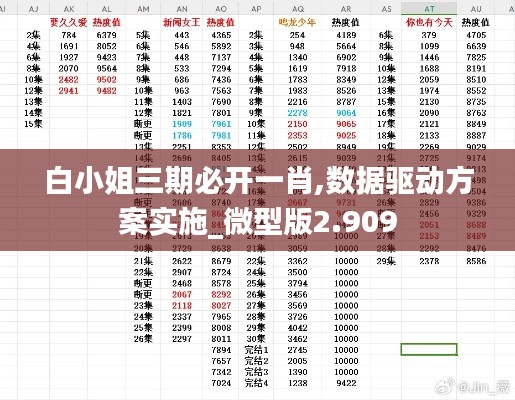 白小姐三期必开一肖,数据驱动方案实施_微型版2.909