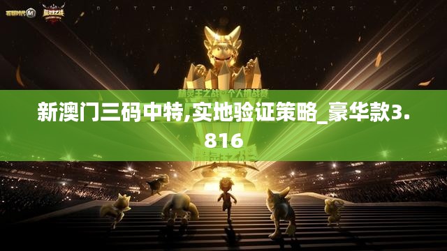 新澳门三码中特,实地验证策略_豪华款3.816