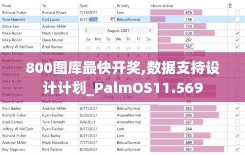 800图库最快开奖,数据支持设计计划_PalmOS11.569