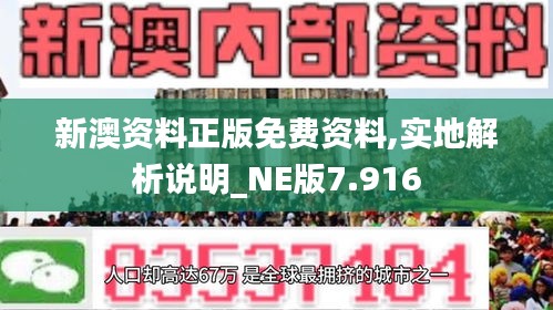 新澳资料正版免费资料,实地解析说明_NE版7.916