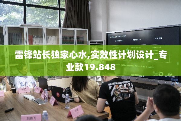 雷锋站长独家心水,实效性计划设计_专业款19.848