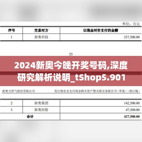 2024新奥今晚开奖号码,深度研究解析说明_tShop5.901