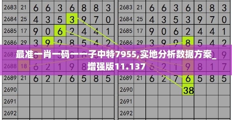 最准一肖一码一一子中特7955,实地分析数据方案_增强版11.137