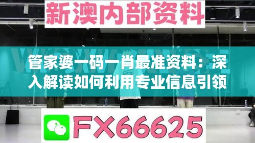 管家婆一码一肖最准资料：深入解读如何利用专业信息引领市场风向