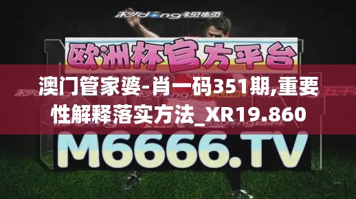 澳门管家婆-肖一码351期,重要性解释落实方法_XR19.860