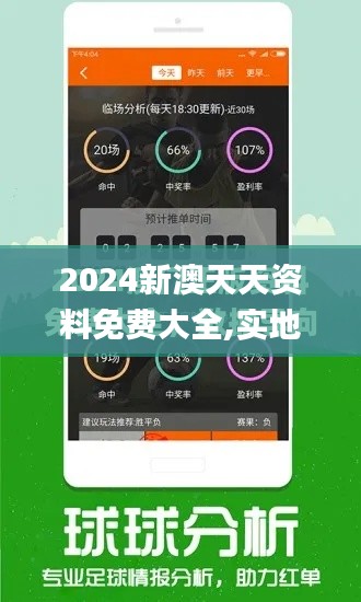 2024新澳天天资料免费大全,实地验证执行数据_8DM2.329