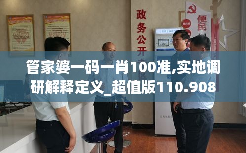 管家婆一码一肖100准,实地调研解释定义_超值版110.908