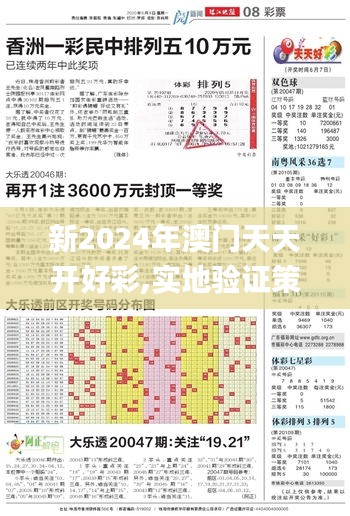 新2024年澳门天天开好彩,实地验证策略数据_P版10.406