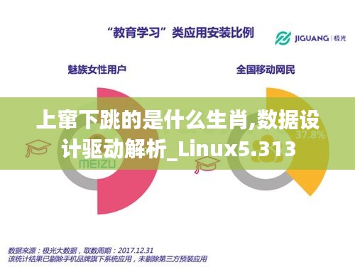 上窜下跳的是什么生肖,数据设计驱动解析_Linux5.313