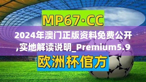 2024年澳门正版资料免费公开,实地解读说明_Premium5.969