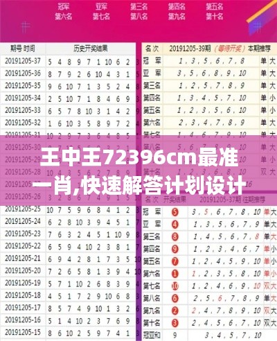 王中王72396cm最准一肖,快速解答计划设计_XR15.449