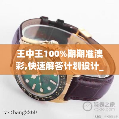 王中王100%期期准澳彩,快速解答计划设计_suite4.316