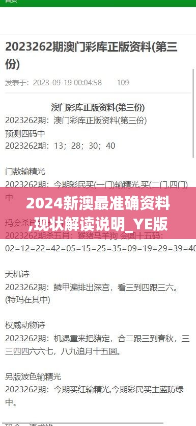 2024新澳最准确资料,现状解读说明_YE版2.299