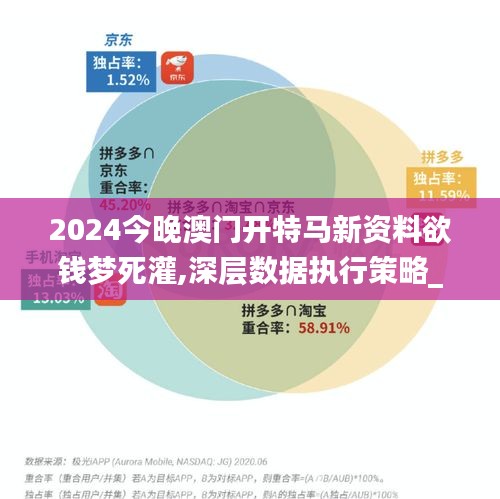 2024今晚澳门开特马新资料欲钱梦死灌,深层数据执行策略_pro8.622