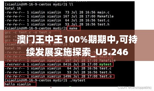 澳门王中王100%期期中,可持续发展实施探索_U5.246