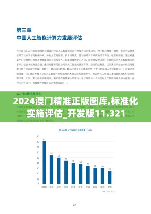 2024澳门精准正版图库,标准化实施评估_开发版11.321