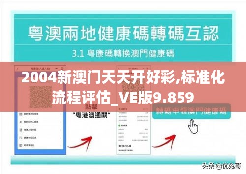 2004新澳门天天开好彩,标准化流程评估_VE版9.859