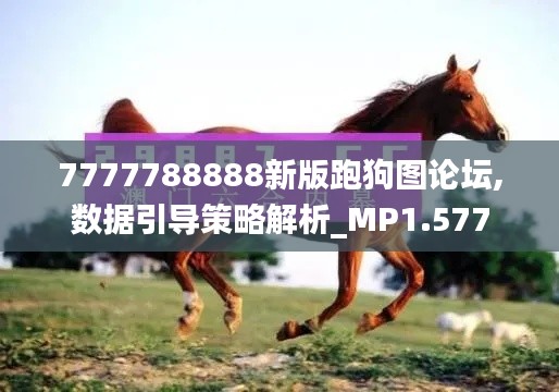 7777788888新版跑狗图论坛,数据引导策略解析_MP1.577