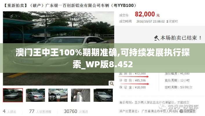 澳门王中王100%期期准确,可持续发展执行探索_WP版8.452