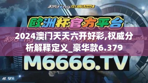 2024澳门天天六开好彩,权威分析解释定义_豪华款6.379