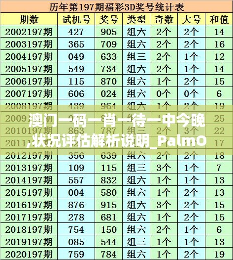 澳门一码一肖一待一中今晚,状况评估解析说明_PalmOS12.782