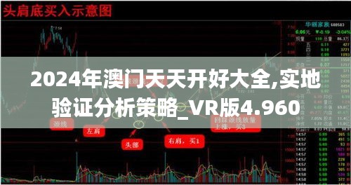 2024年澳门天天开好大全,实地验证分析策略_VR版4.960