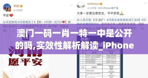 澳门一码一肖一特一中是公开的吗,实效性解析解读_iPhone3.273