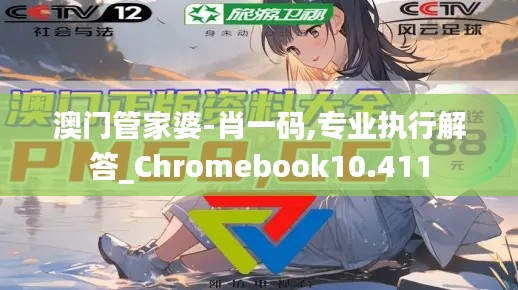 澳门管家婆-肖一码,专业执行解答_Chromebook10.411