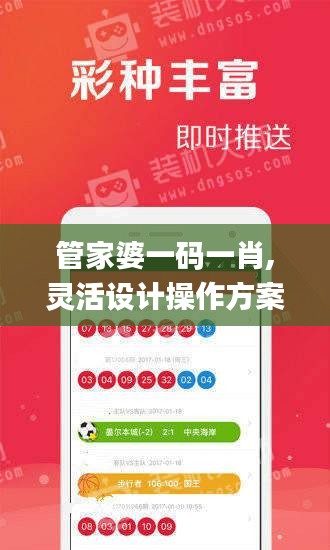 管家婆一码一肖,灵活设计操作方案_4DM5.896