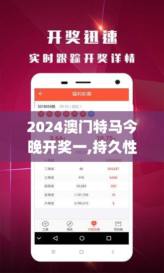 2024澳门特马今晚开奖一,持久性方案设计_QHD版4.892