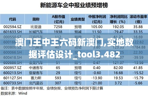 澳门王中王六码新澳门,实地数据评估设计_tool3.482