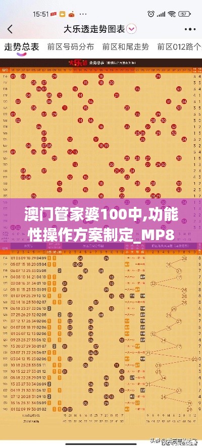 澳门管家婆100中,功能性操作方案制定_MP8.141