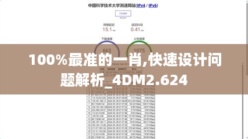 100%最准的一肖,快速设计问题解析_4DM2.624