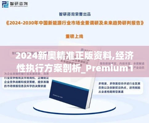 2024新奥精准正版资料,经济性执行方案剖析_Premium1.899