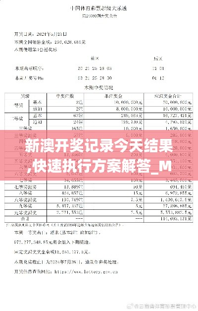 新澳开奖记录今天结果,快速执行方案解答_MR7.995