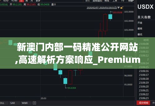 新澳门内部一码精准公开网站,高速解析方案响应_Premium7.399