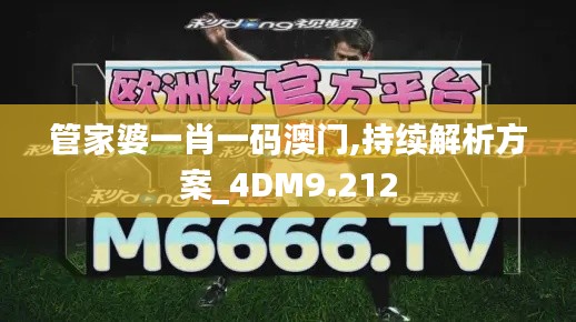 管家婆一肖一码澳门,持续解析方案_4DM9.212