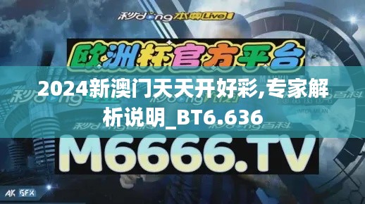 2024新澳门天天开好彩,专家解析说明_BT6.636