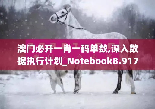 澳门必开一肖一码单数,深入数据执行计划_Notebook8.917