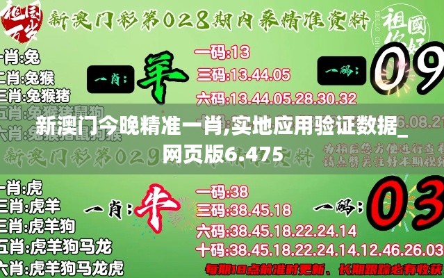 新澳门今晚精准一肖,实地应用验证数据_网页版6.475