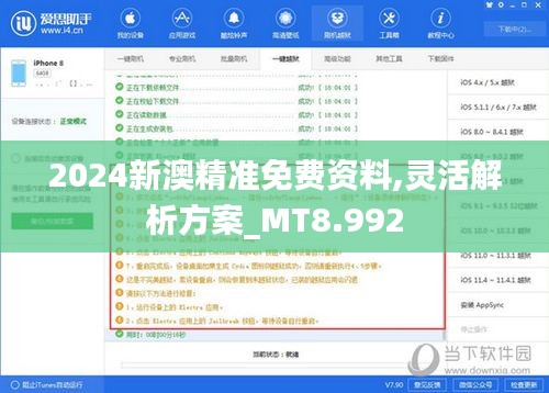 2024新澳精准免费资料,灵活解析方案_MT8.992