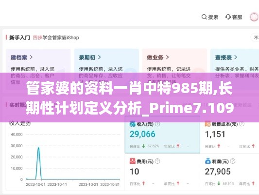 管家婆的资料一肖中特985期,长期性计划定义分析_Prime7.109