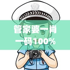 管家婆一肖一码100%准资料大全,适用解析方案_S13.656